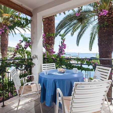 Villa Helena Podgora Oda fotoğraf